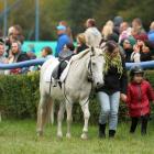 zdjęcie nr 32