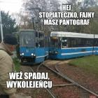 zdjęcie nr 7