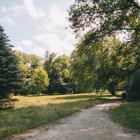 zdjęcie nr 9
