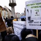 zdjęcie nr 16