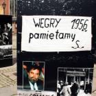 zdjęcie nr 10