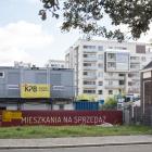 zdjęcie nr 8