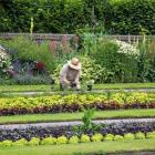 zdjęcie nr 11