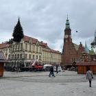 Montaż nowej choinki na wrocławskim Rynku  Autor: Łukasz Woźnica