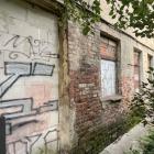 Fotka nr 4 z 14