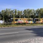 zdjęcie nr 7