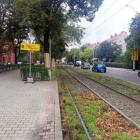 zdjęcie nr 9