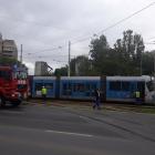 zdjęcie nr 6