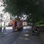 zdjęcie nr 9