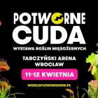 Fotka nr 3 z 4