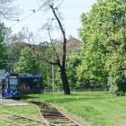 zdjęcie nr 8