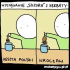 zdjęcie nr 10