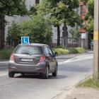 zdjęcie nr 8