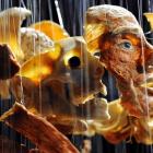 zdjęcie nr 8