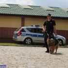   Autor: Dolnośląska Policja
