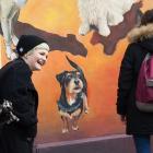 zdjęcie nr 13