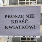 Złodziej kradł kwiatki w szpitalu. Pomogła prośba pielęgniarki  Autor: Czytelnik