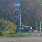 zdjęcie nr 7