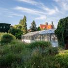 Ogród Botaniczny we Wrocławiu - szklarnie UWr po remoncie  Autor: UWr