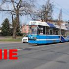 Fotka nr 4 z 8
