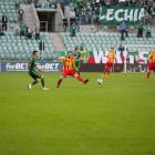zdjęcie nr 19