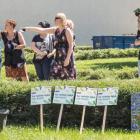 zdjęcie nr 13