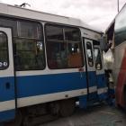 Fotka nr 2 z 10