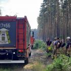 Pożar lasu pod Twardogórą / fot. KPPSP Oleśnica