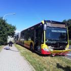 Fotka nr 4 z 10