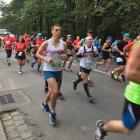 zdjęcie nr 33