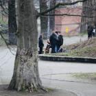 zdjęcie nr 8
