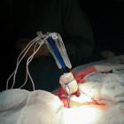   Autor: mat. pras.