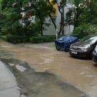 zdjęcie nr 4
