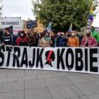 zdjęcie nr 11