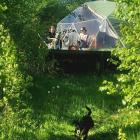 Vegan House to wegański glamping w Kotlinie Kłodzkiej, a dokładniej w miejscowości...