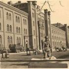 zdjęcie nr 8