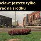 zdjęcie nr 14