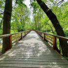 Park Swojczycki Czarna Woda, we Wrocławiu.  Autor: AP