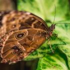   Autor: ZOO WROCŁAW