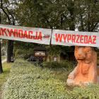 zdjęcie nr 11
