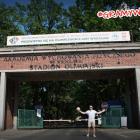   Autor: Gwardia Wrocław