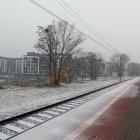zdjęcie nr 19