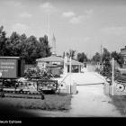 zdjęcie nr 42