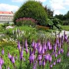 Ogród Botaniczny we Wrocławiu jest otwarty dla zwiedzających od godziny 9.00-19.00, a 1...