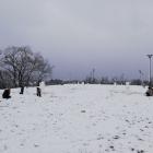 zdjęcie nr 53