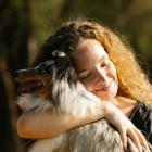 Miejsce 2. Owczarek szetlandzki (sheltie). Laicy lubią nazywać tę rasę miniaturką...
