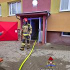 zdjęcie nr 7