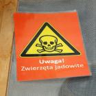 zdjęcie nr 12