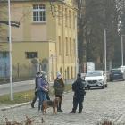zdjęcie nr 16