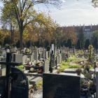  ZNANI WROCŁAWIANIE POCHOWANI NA CMENTARZU ŚW. WAWRZYŃCA (ul. BUJWIDA)   
Bogusław...